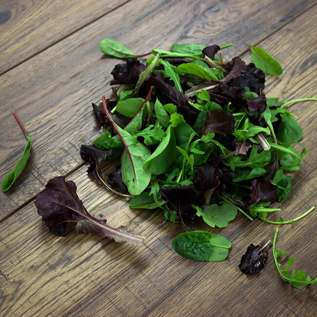Baby Leaf Salad Baby Leaf Salad