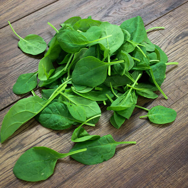 Baby Leaf Spinach - Kerry's Fresh