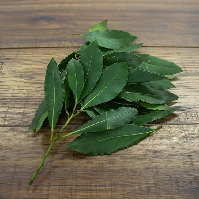 Bay Leaf Bay Leaf