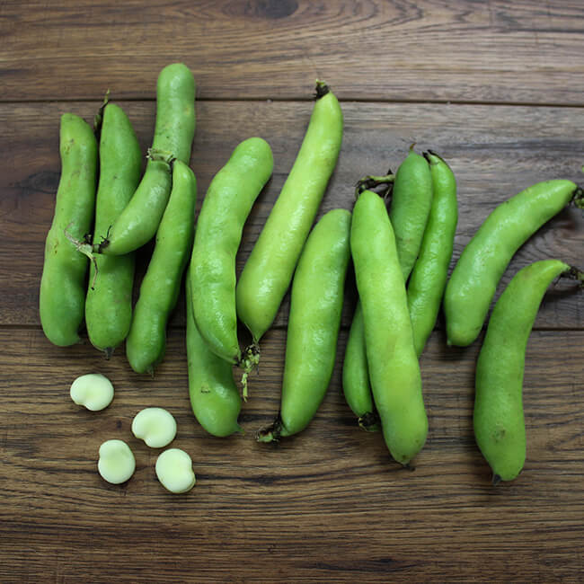 Broad Beans Broad Beans