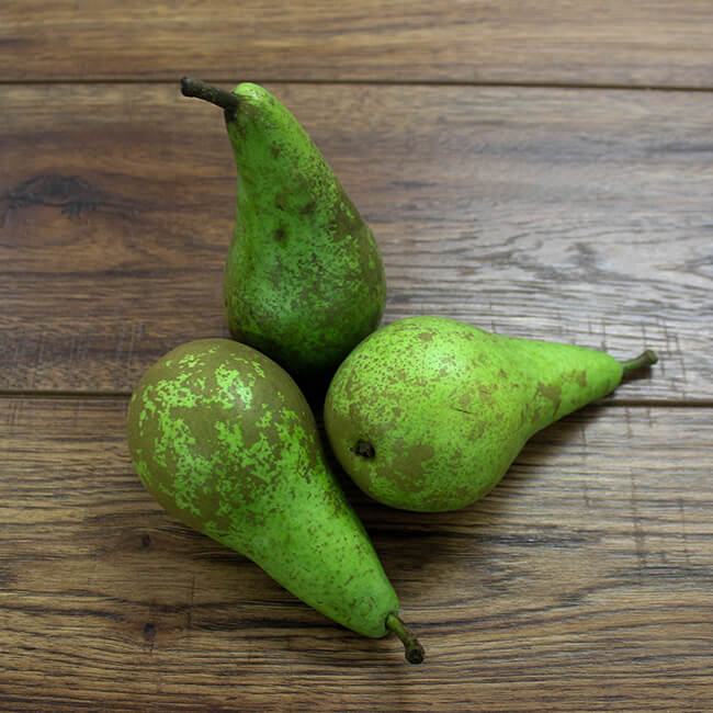 Conference Pears Conference Pears