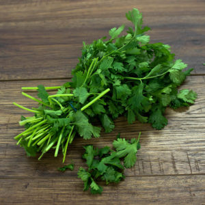 Coriander