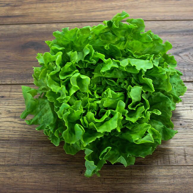 Crispy Lettuce (Batavia) Crispy Lettuce (Batavia)
