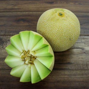 Galia Melon