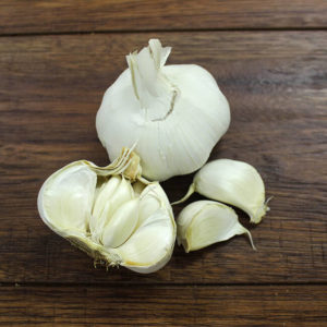 Garlic