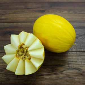 Honeydew Melon