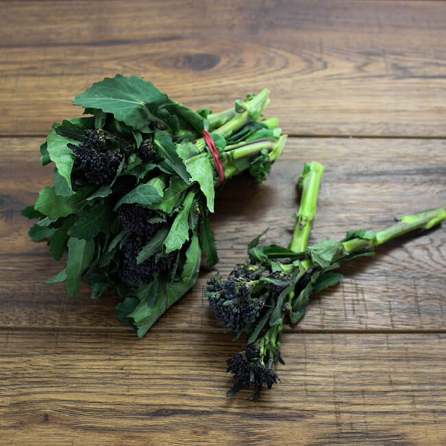 Purple Sprouting Broccoli Purple Sprouting Broccoli