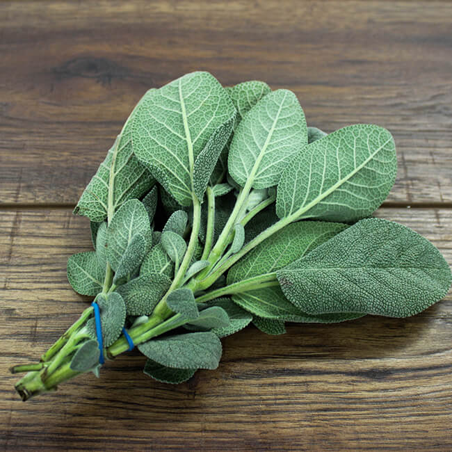 Sage Sage