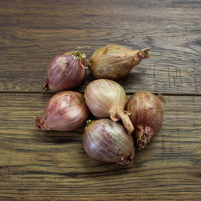 Shallots Shallots