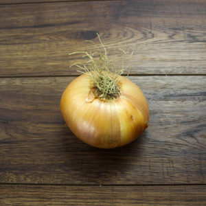 Spanish Onions