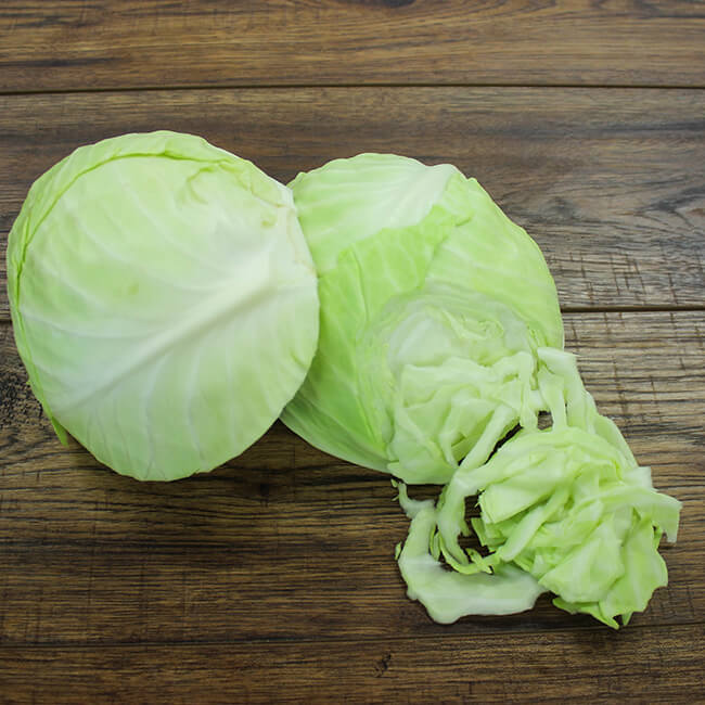 White Cabbage White Cabbage
