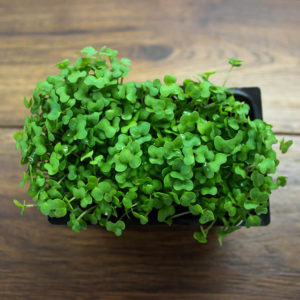 Cress