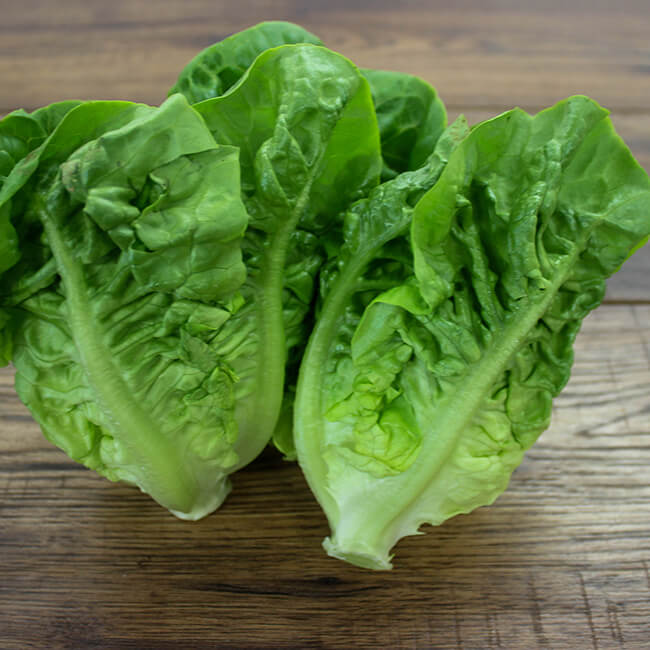 Lettuce, Little Gem