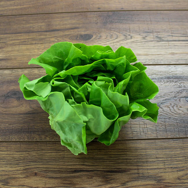 Round Lettuce Round Lettuce
