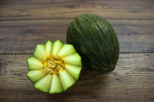 Sugar Melon