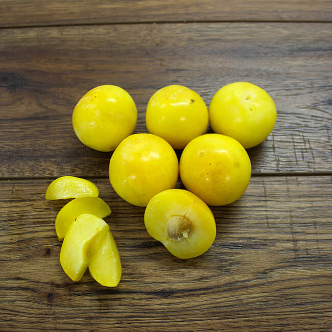 Sungold Plums Sungold Plums