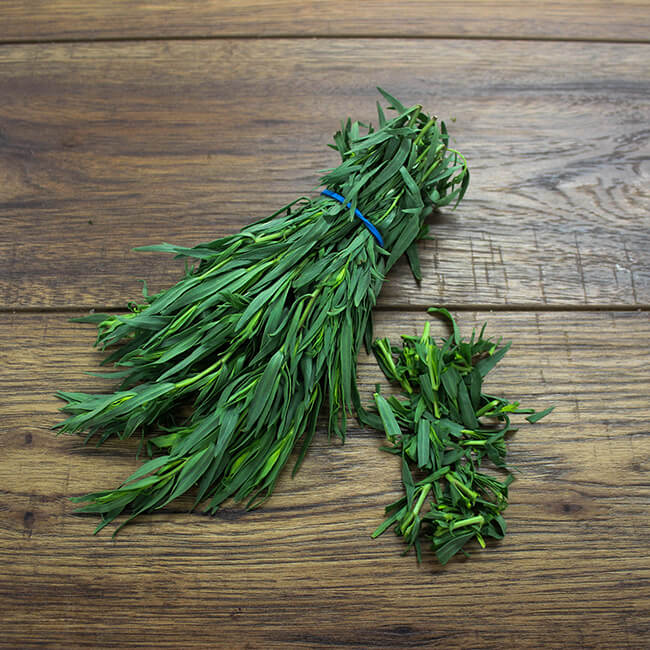 Tarragon Tarragon