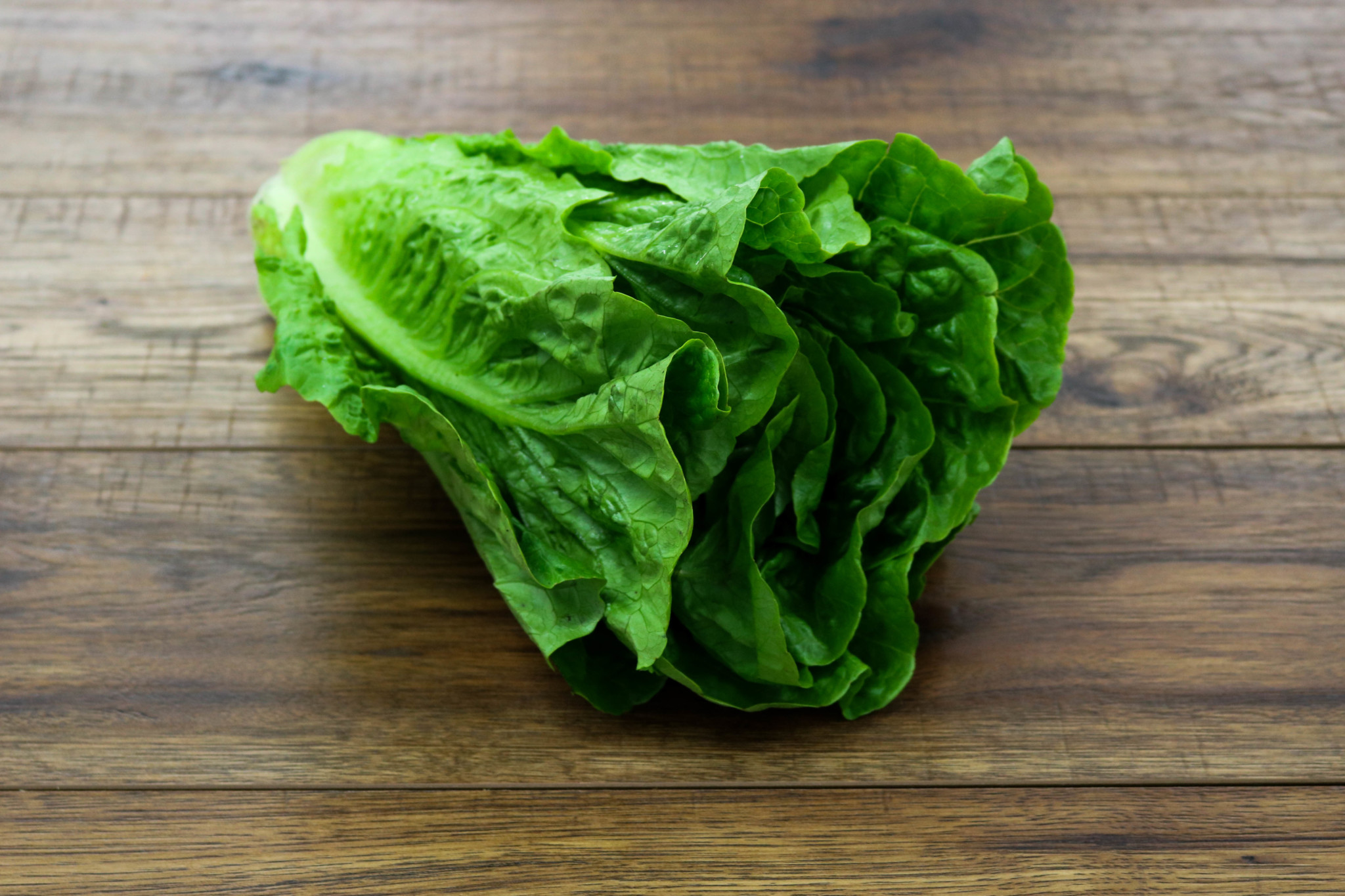 Sweet Romaine Lettuce Sweet Romaine Lettuce