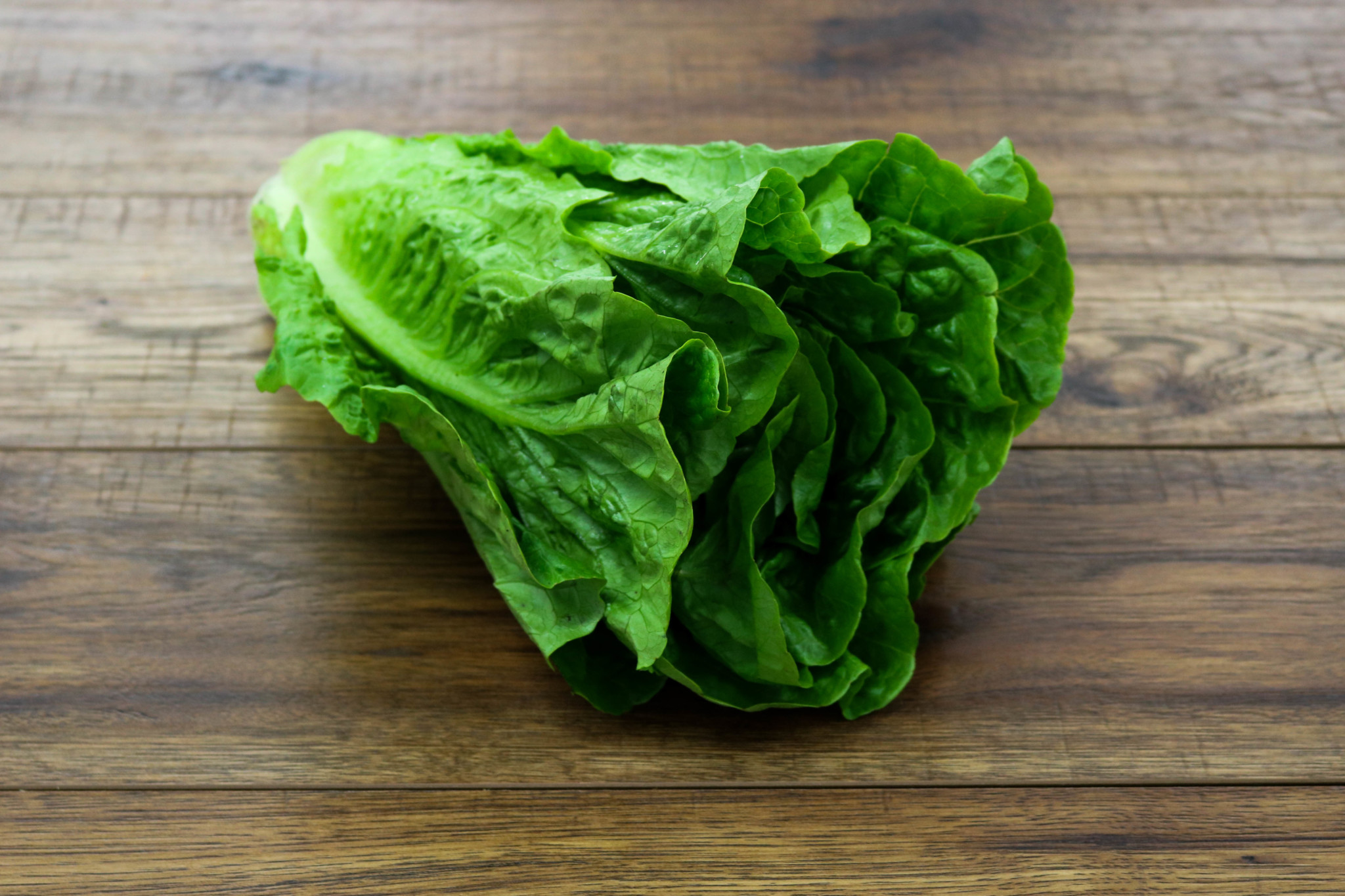 Lettuce перевод на русский. Romaine lettuce. Limp lettuce Leaf. Lettuce АРК. Lettuce Cloth.