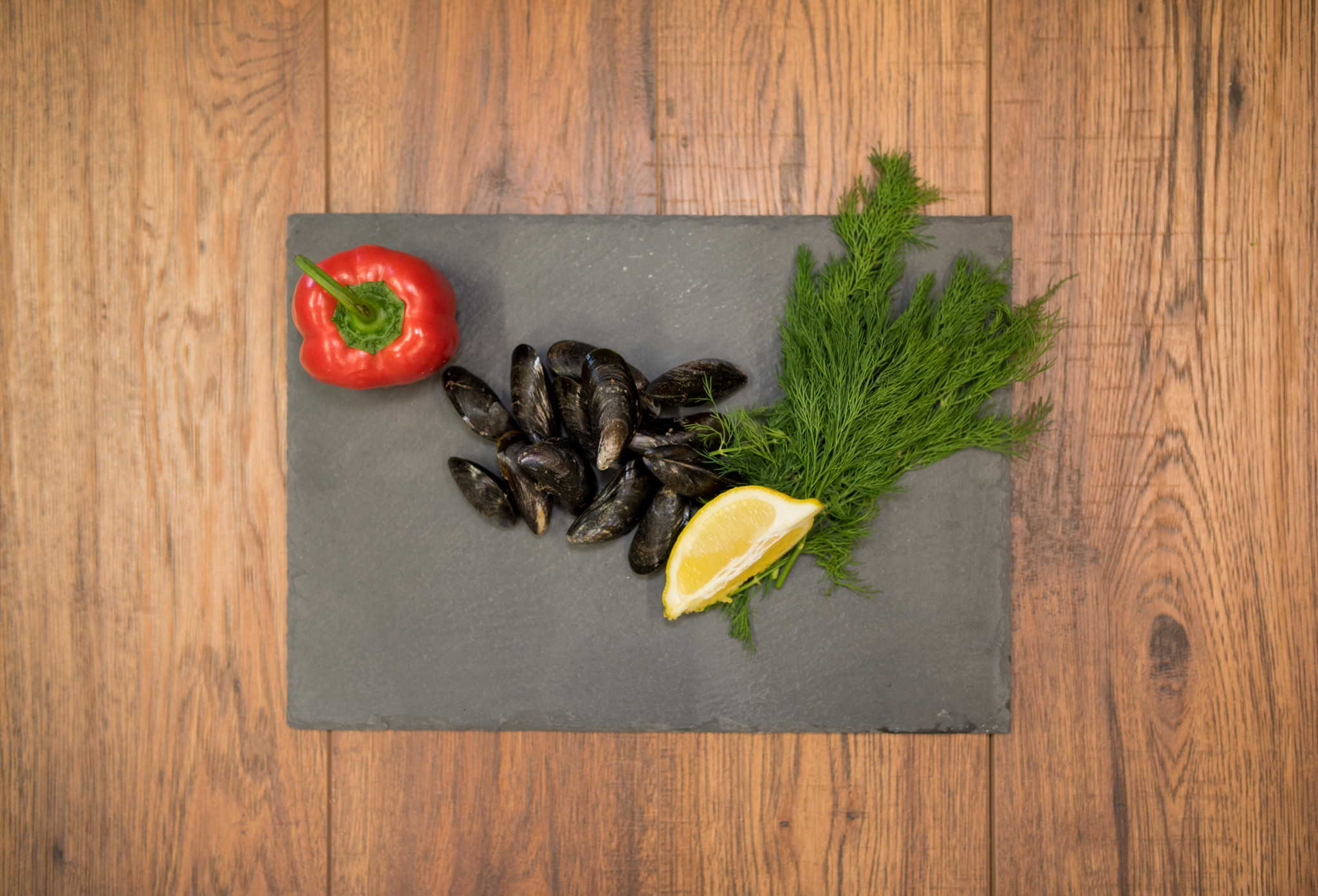 Mussels Mussels