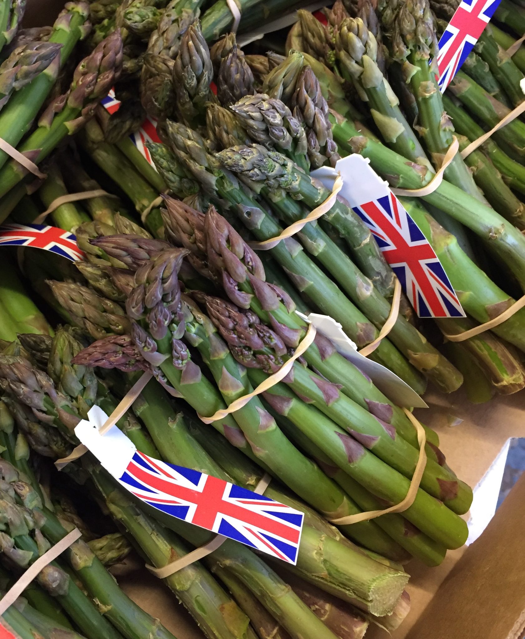 english asparagus