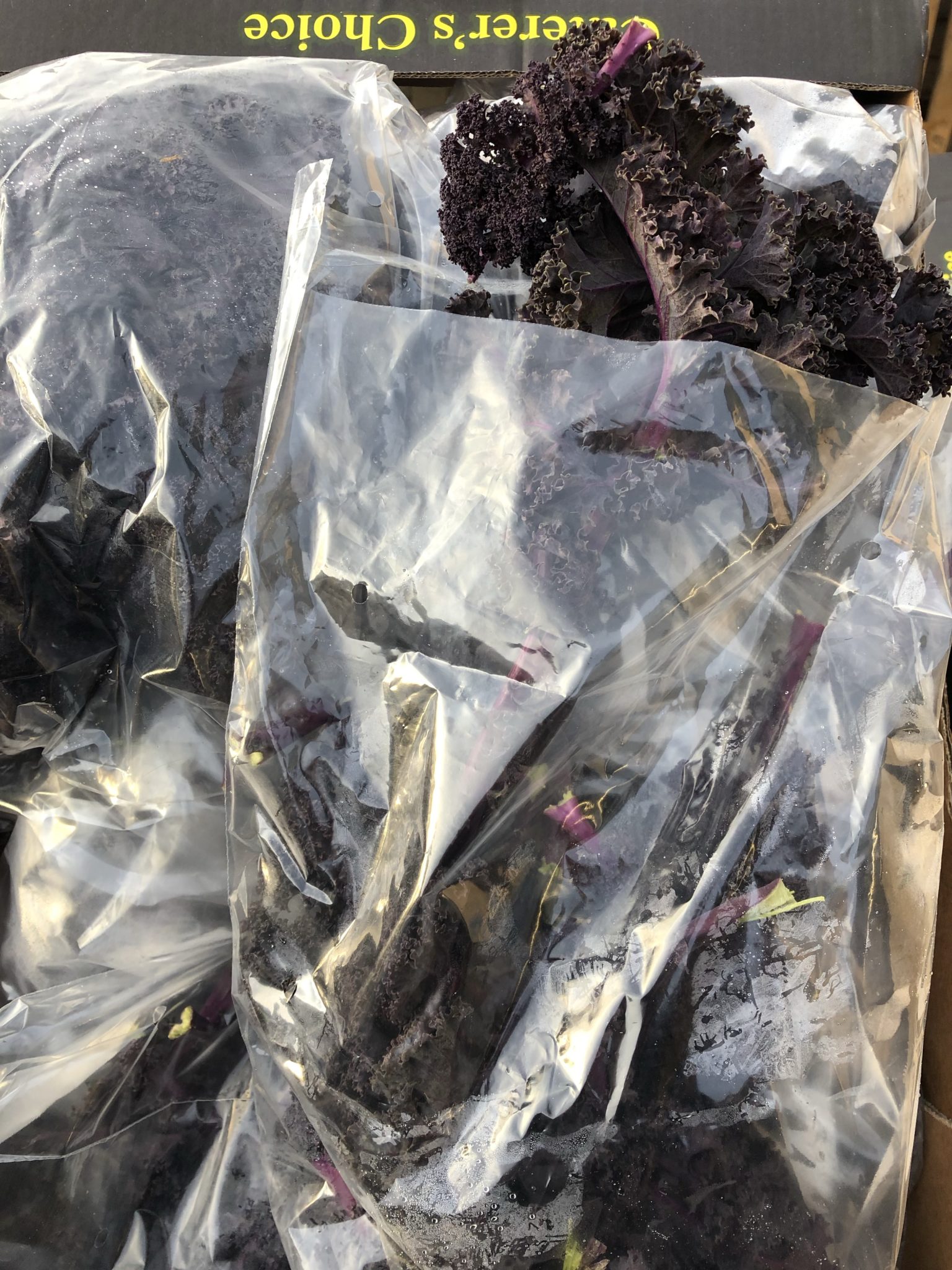 red kale