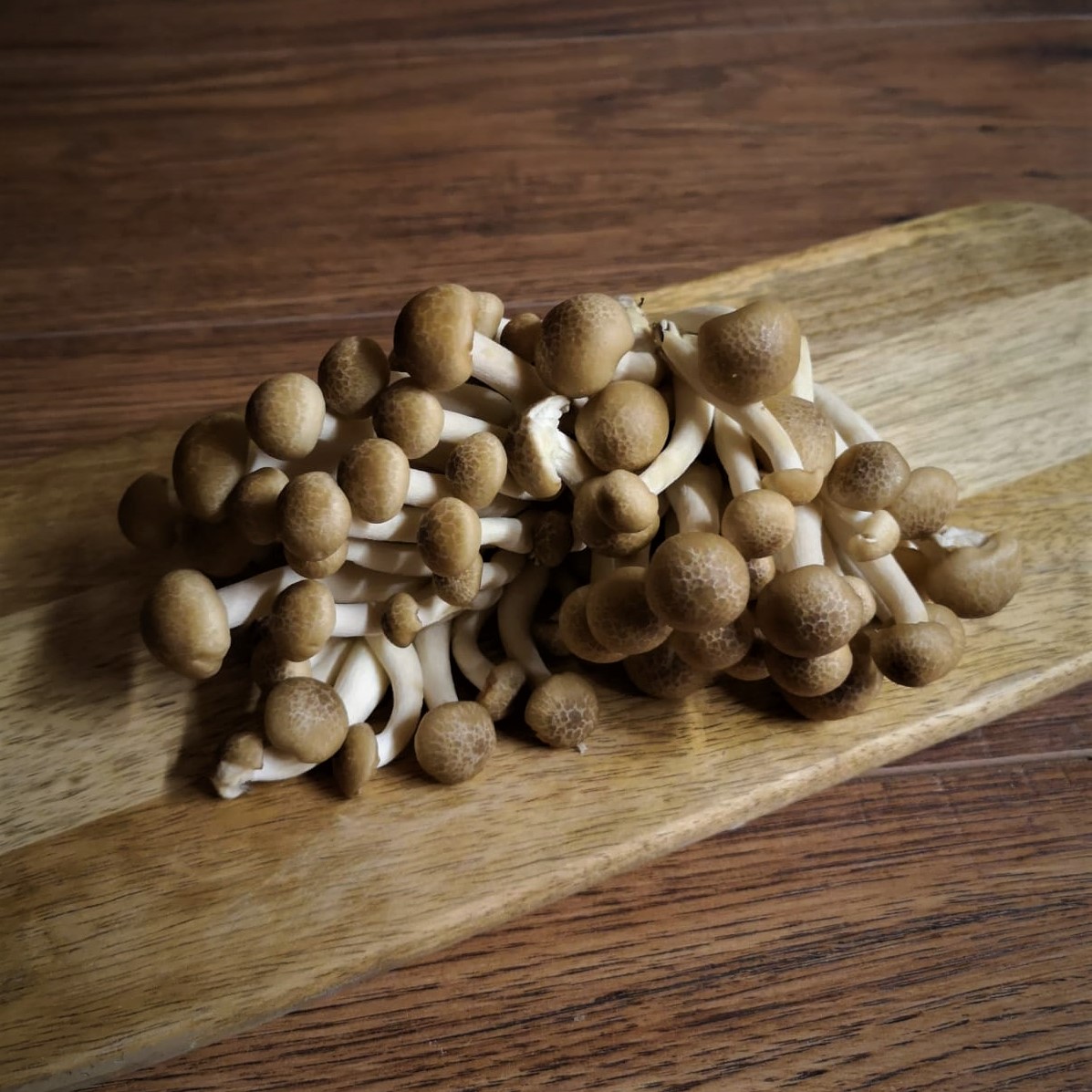 shimeji mushrooms