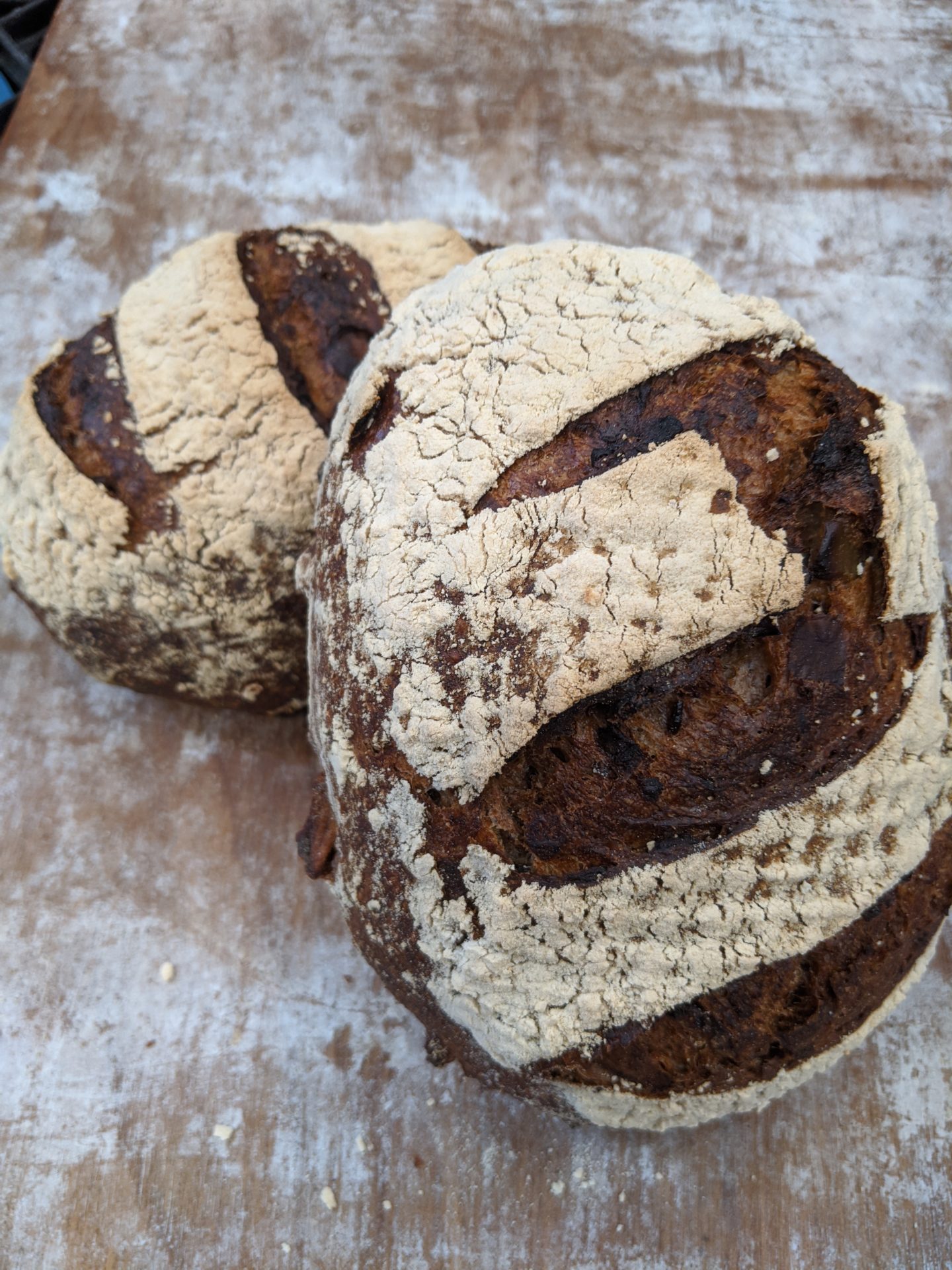Apple Sourdough