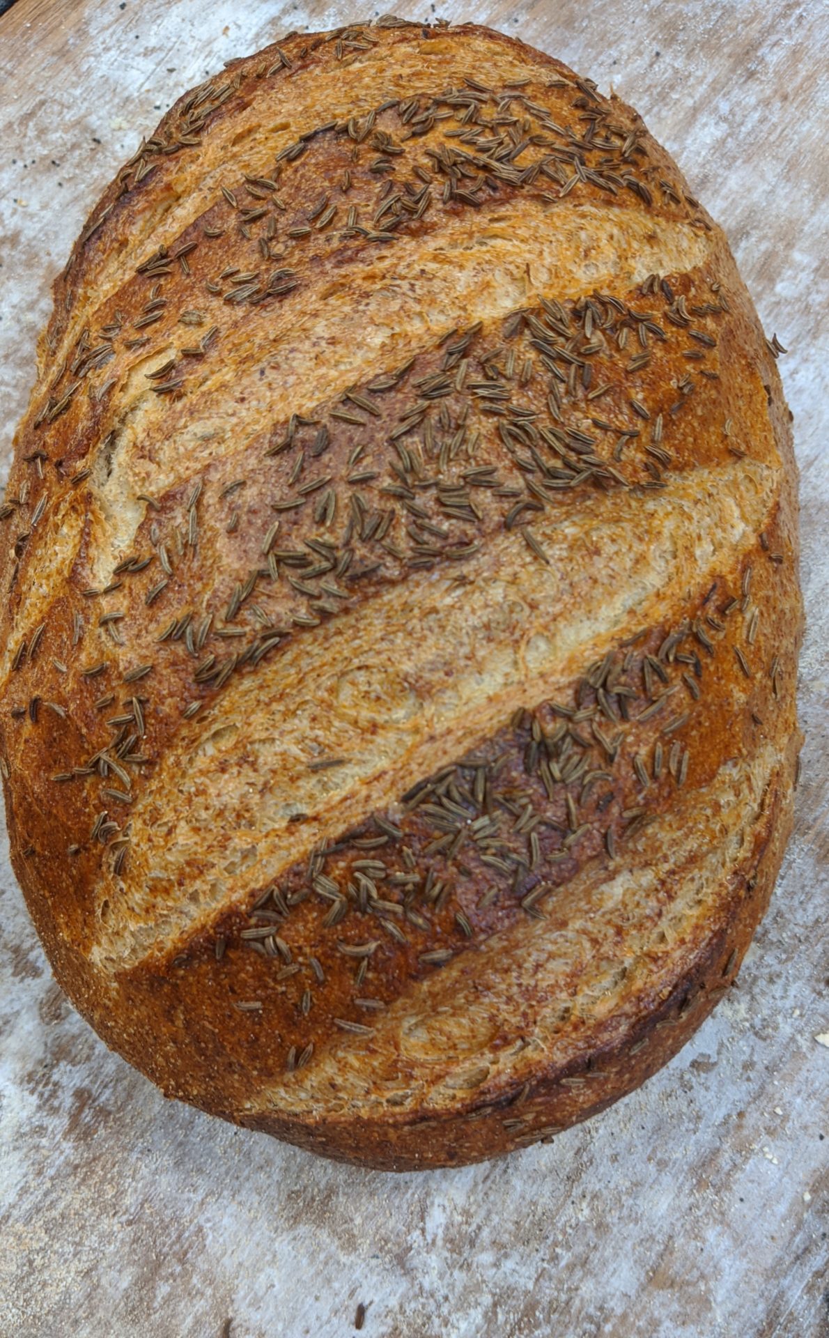 Deli rye and caraway bloomer