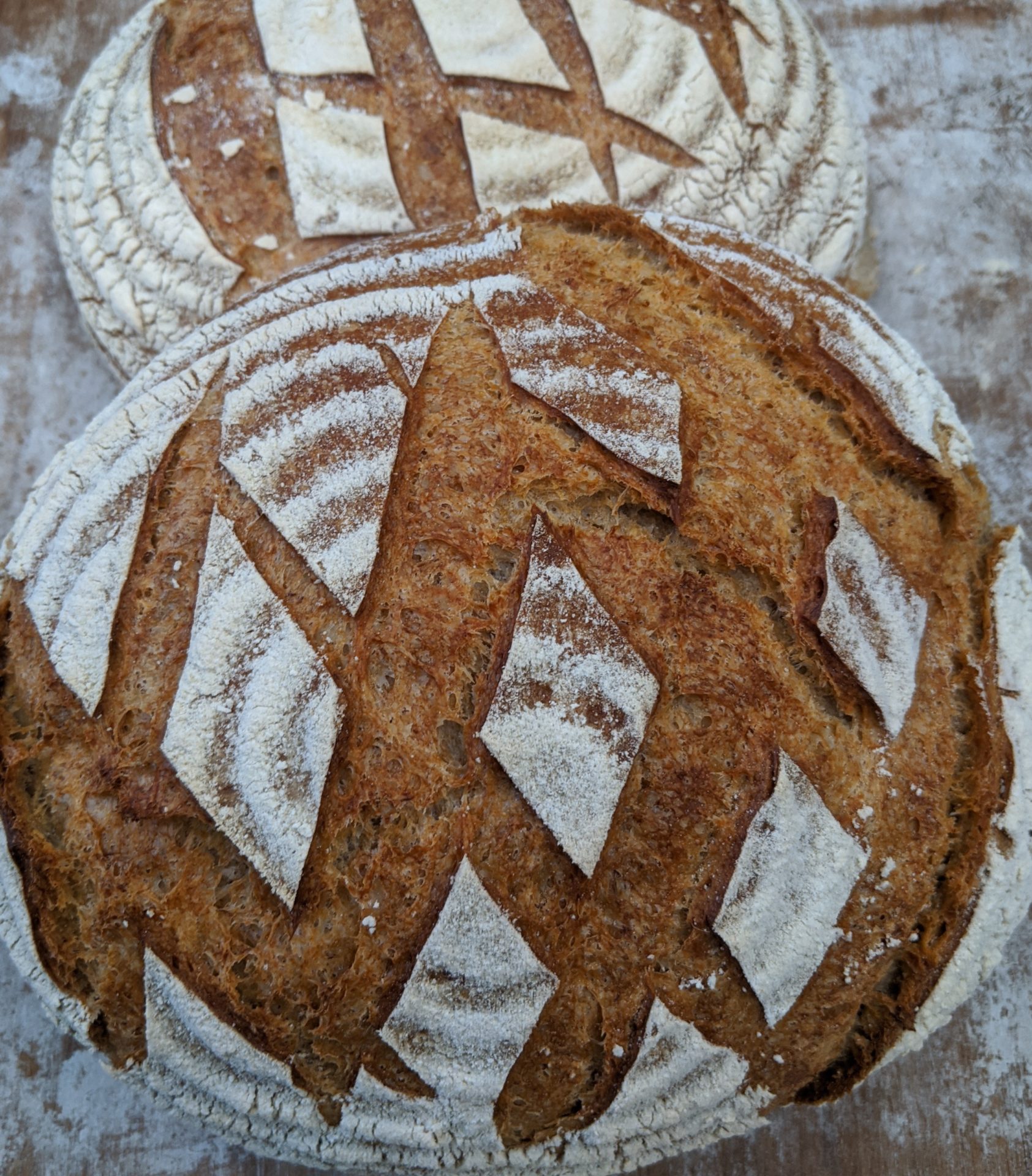 Sourdough round