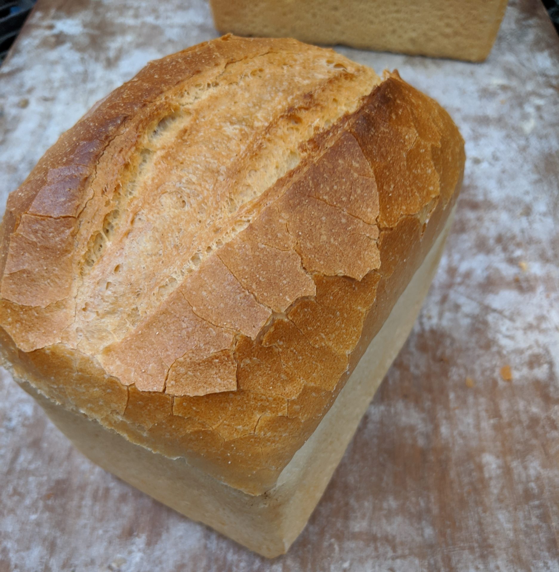 White-tin-loaf