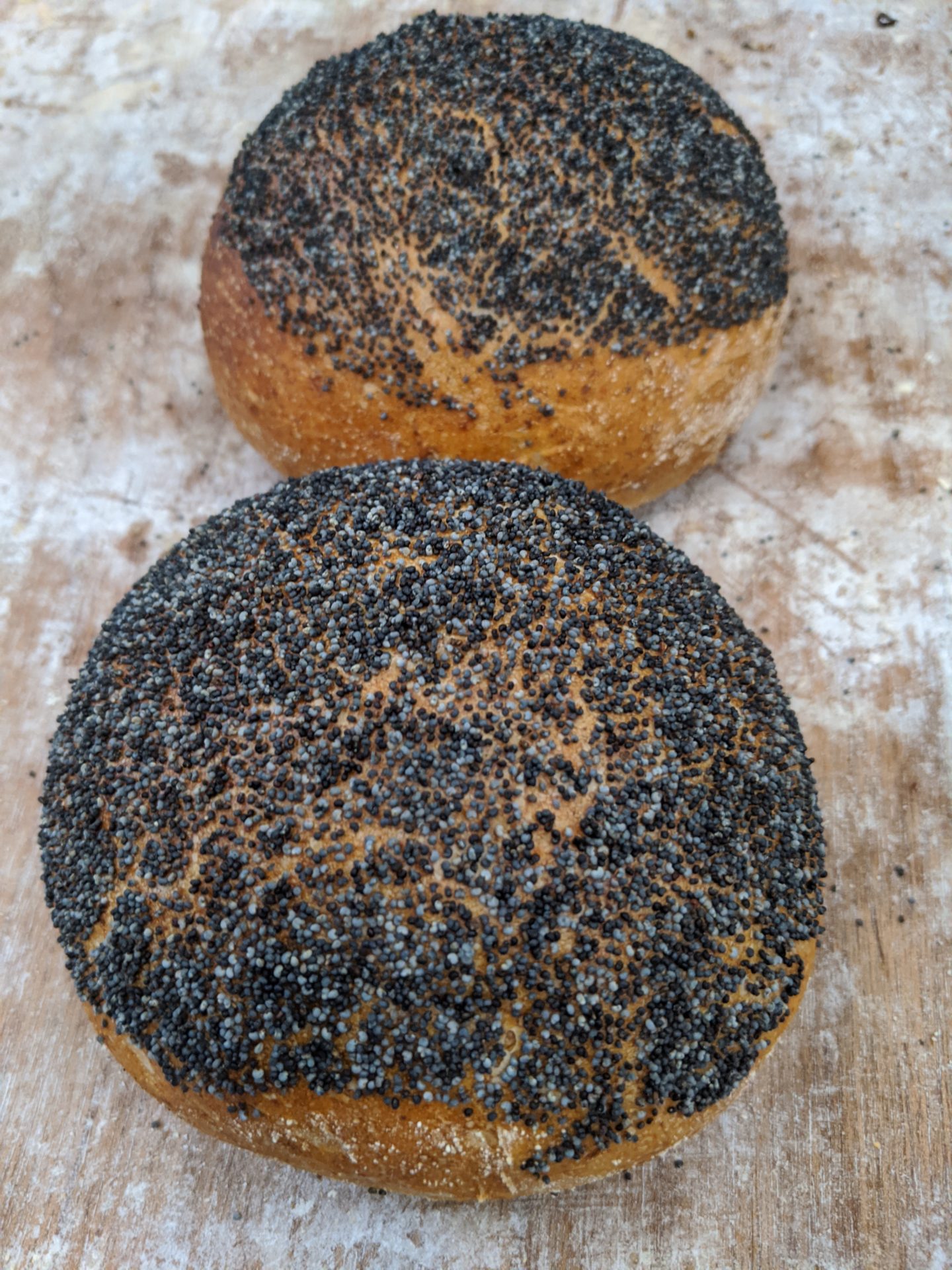 deli rye and poppyseed rolls