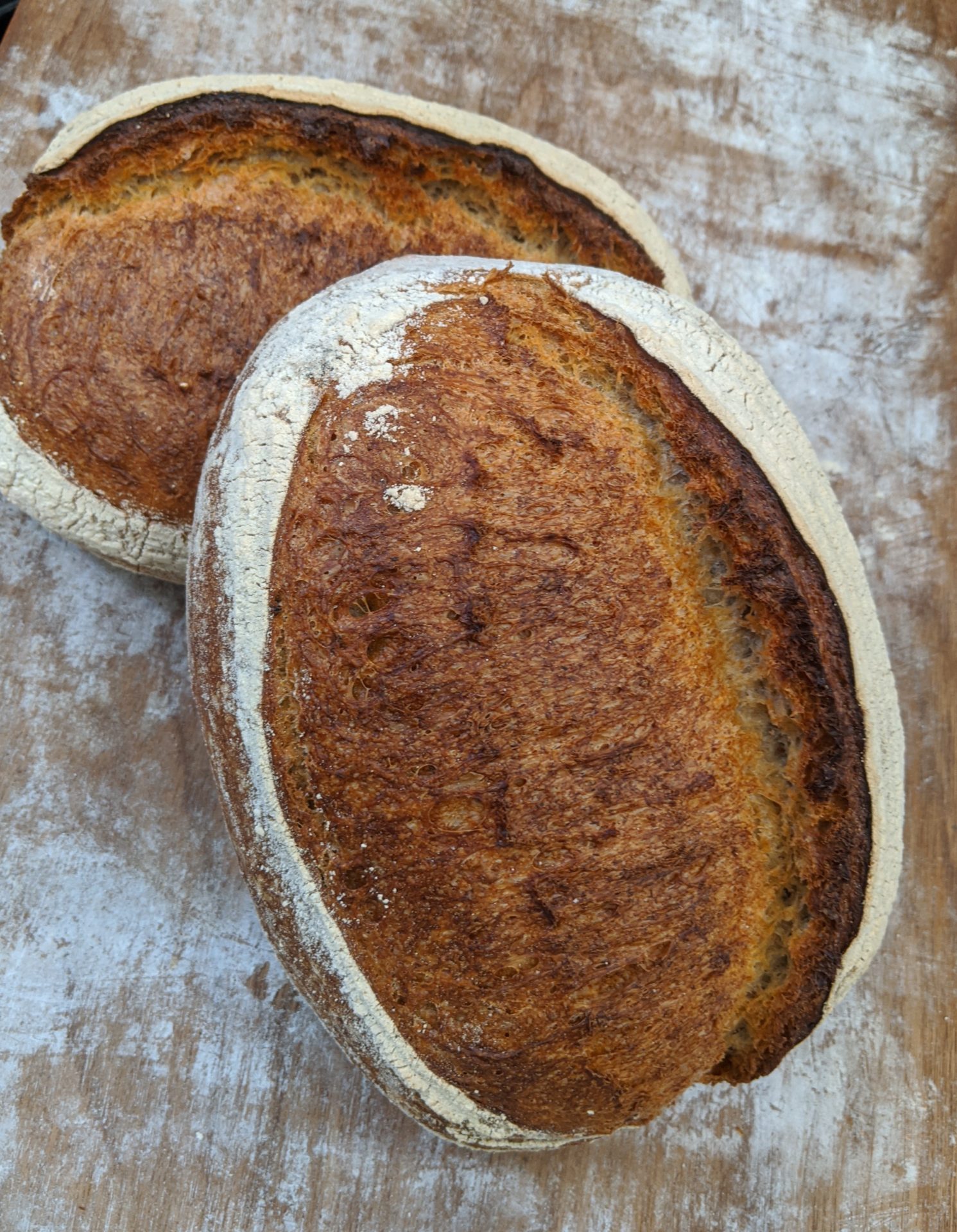 Sourdough Bloomer (VF) - Kerry's Fresh