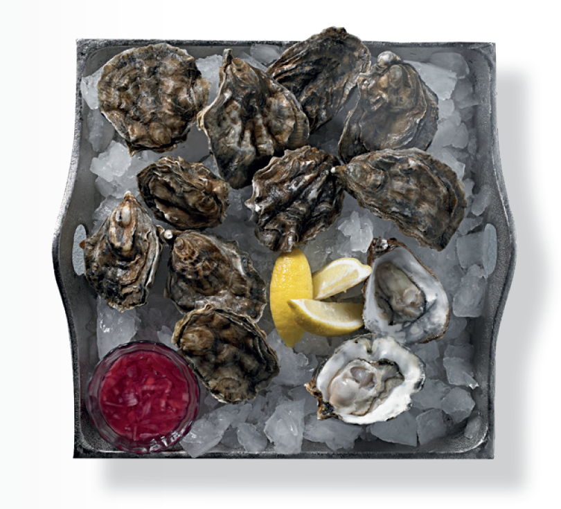 Oysters