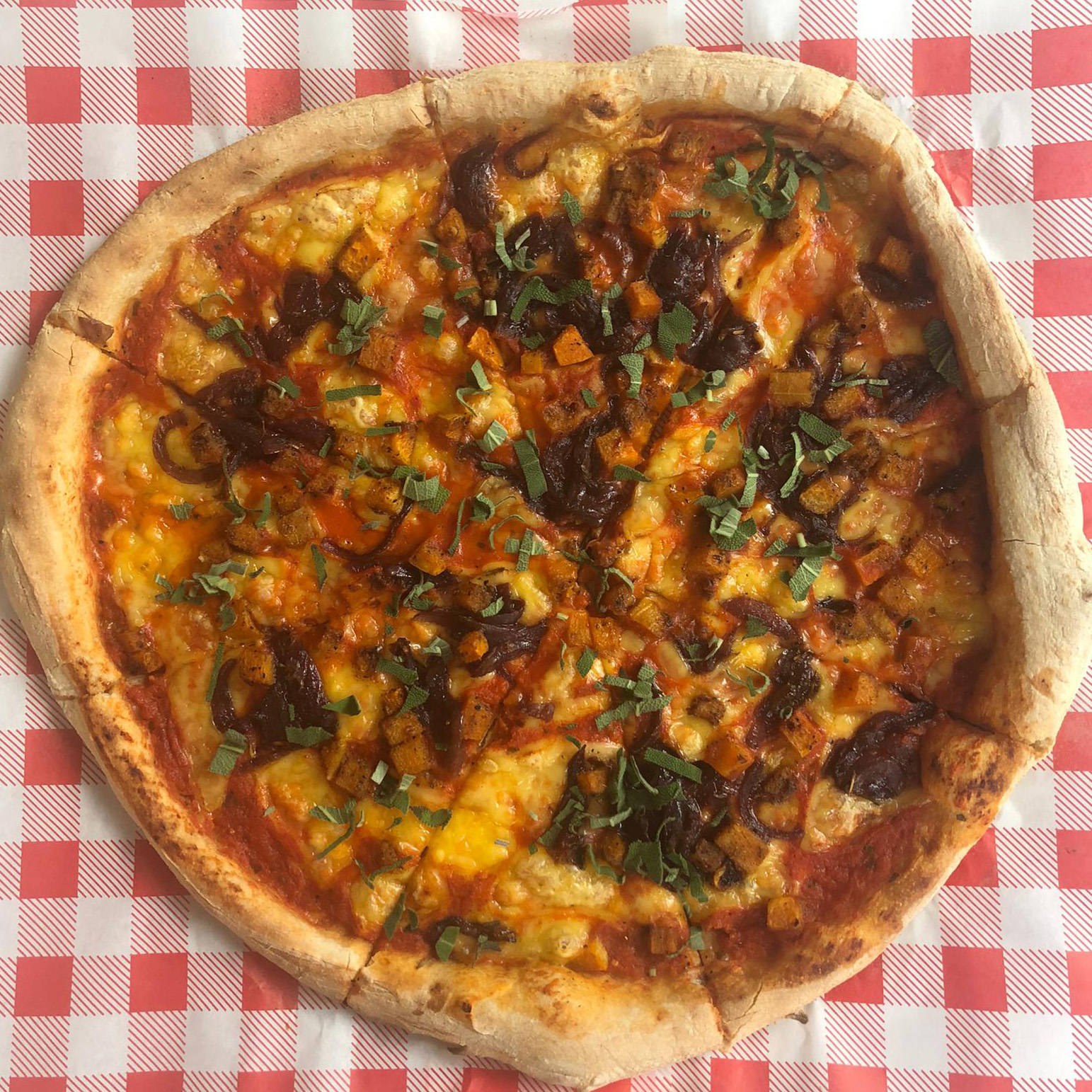Vegan Checkpoint Pizza