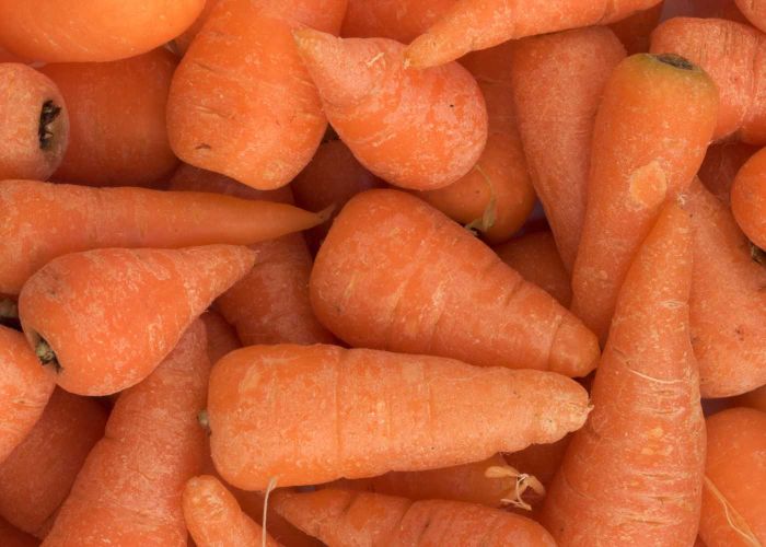 chantenay carrots