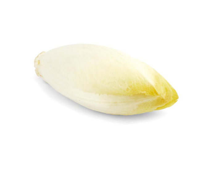 White Chicory (Each)