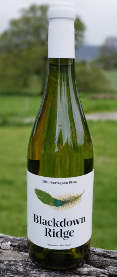 2017 Sauvignon Blanc